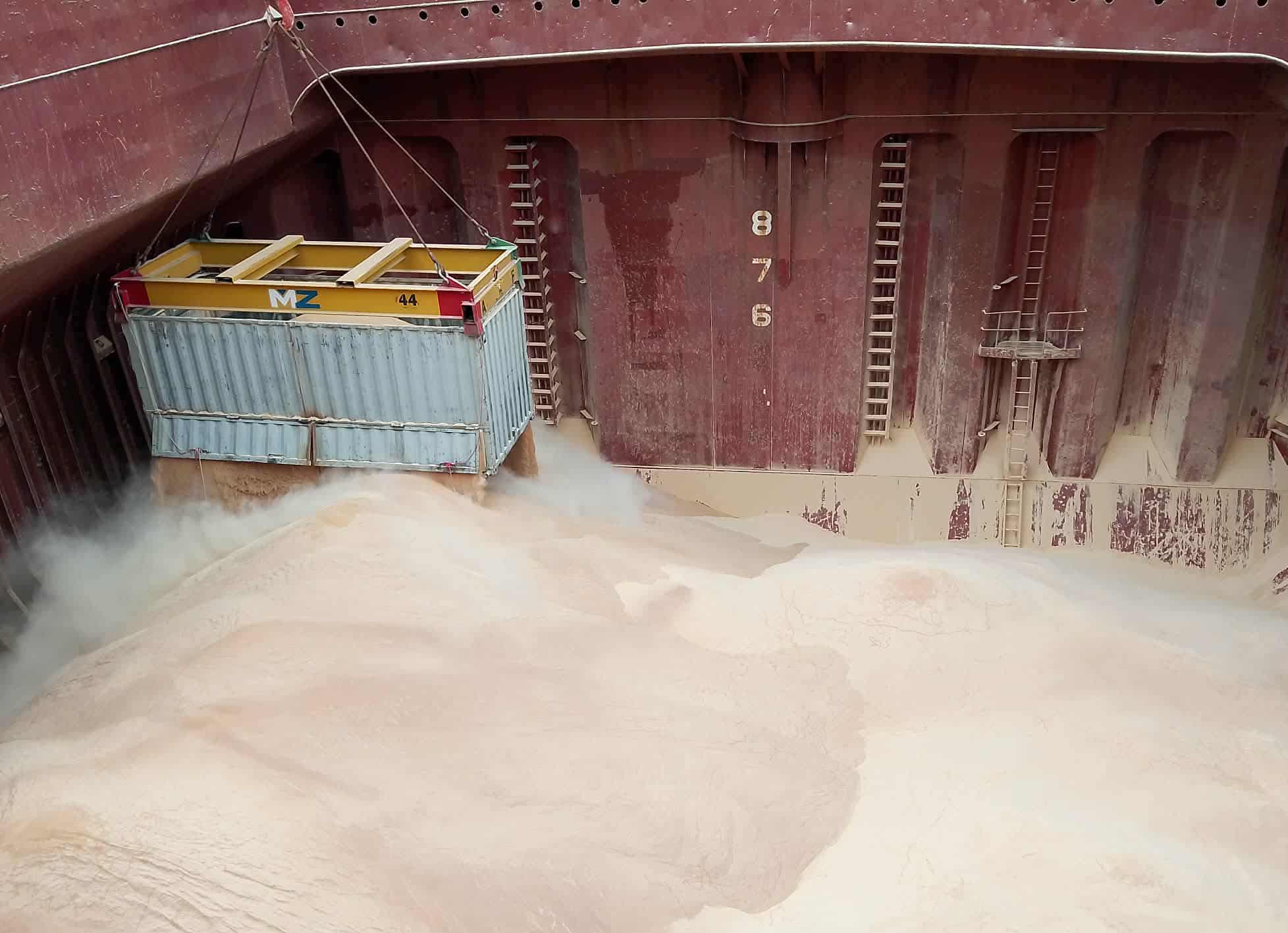 Dry Bulk Shipping