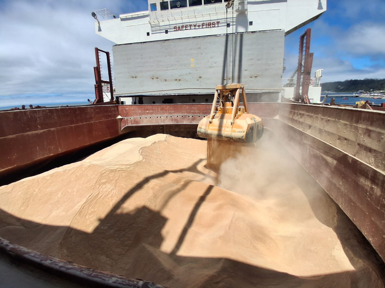 Dry Bulk Cargo